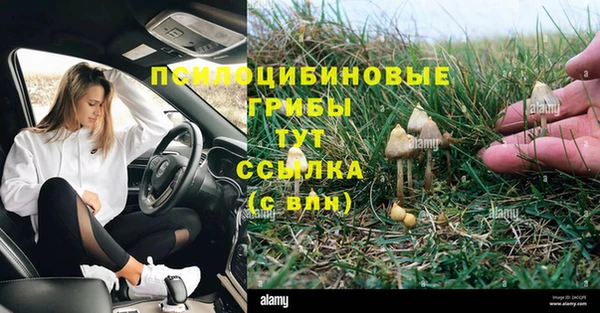 дживик Баксан
